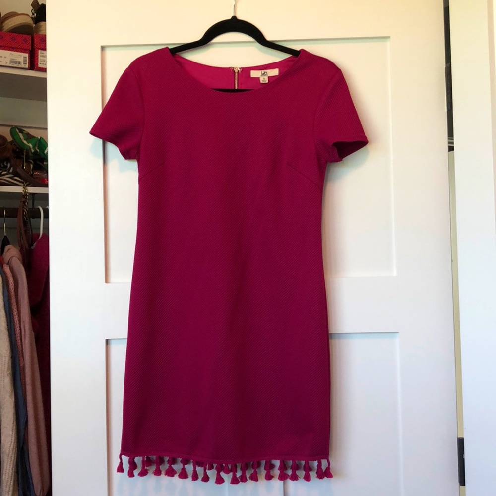 Adorable tassel dress